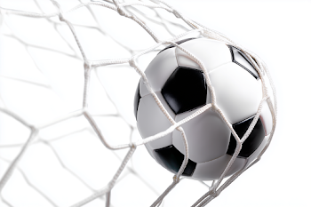 Soccer Ball Hitting the Net