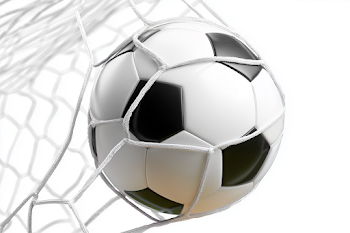 Soccer Ball Hitting the Net