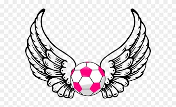 Soccer Ball With Wings