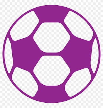 Soccer - Fortuna Babelsberg Logo
