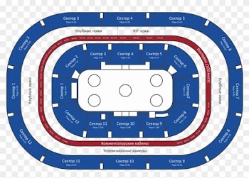 Soccer-specific Stadium