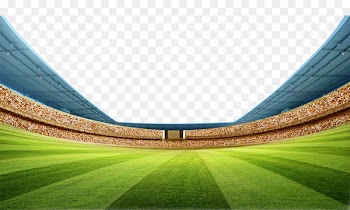 Soccer-specific stadium Football pitch - stadium 