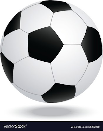 Soccer vector image