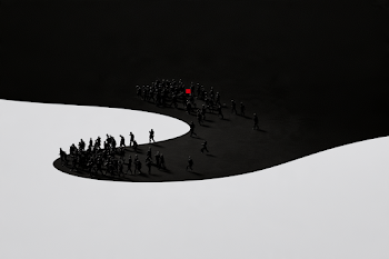Social Dynamics in Contrast