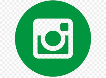 Social media Computer Icons Organization Information Blog - INSTAGRAM LOGO 