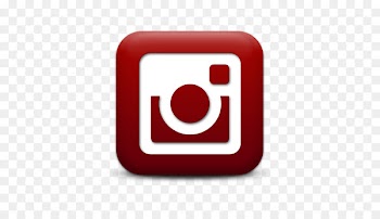 Social media Computer Icons Social networking service Blog - insta 
