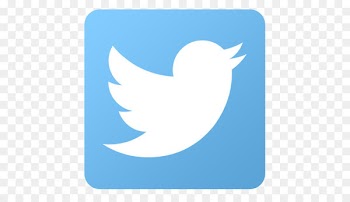 Social media Facebook Thumbnail Icon - Twitter Png Hd 