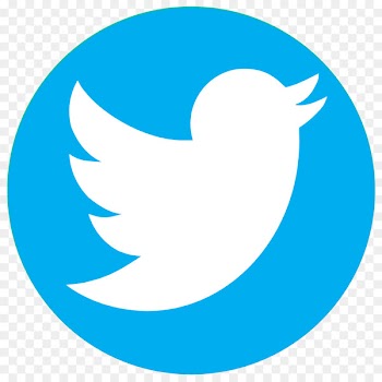 Social media iPhone Organization Logo - twitter 
