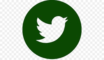 Social media Logo Clip art Portable Network Graphics Computer Icons - social media 