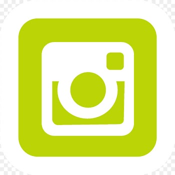 Social media marketing Social media optimization Advertising Mass media - instagram vector 