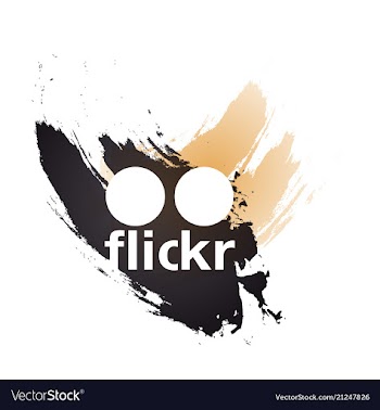 Social media network connect communicate concepts vector image