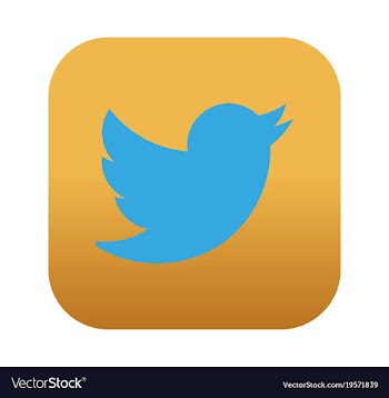 Social media network growth background with lines vector image