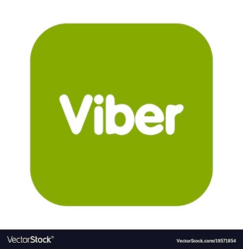 Social media network growth background with lines vector image
