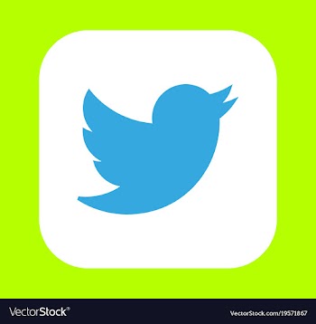 Social media network growth background with lines vector image