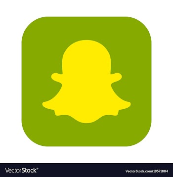 Social media network growth background with lines vector image