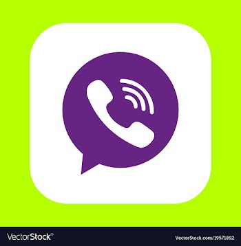 Social media network growth background with lines vector image
