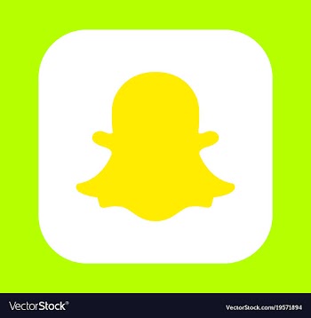 Social media network growth background with lines vector image