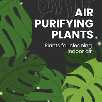 Social media plant template psd with air… | Free stock illustration | High Resolution graphic