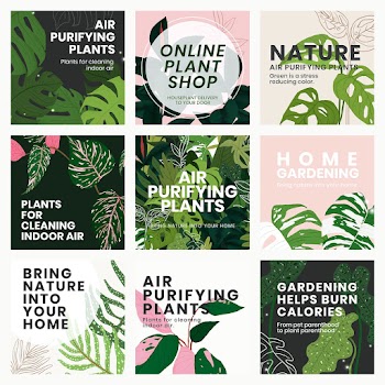 Social media plant template vector leaf set | Free stock illustration | High Resolution graphic