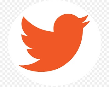 Social media Portable Network Graphics Computer Icons Image Logo - social media 