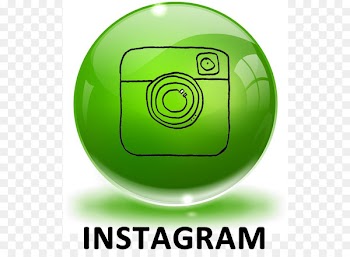 Social media TripAdvisor Instagram LinkedIn Logo - instagram button 