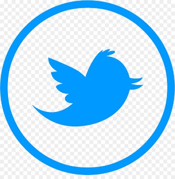 Social media United States of America Blog Advertising News - social media 