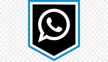 Social media WhatsApp Computer Icons - social media icons 13 0 1 