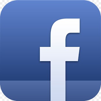 Social media YouTube Computer Icons Flat design - kidneys vector 
