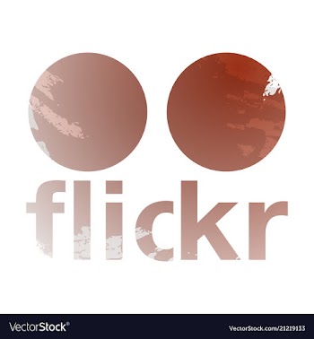 Social networking icons web design flat icon vector image