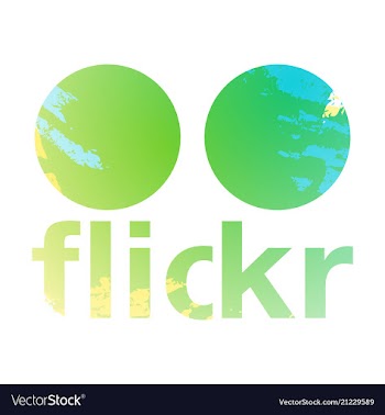 Social networking icons web design flat icon vector image