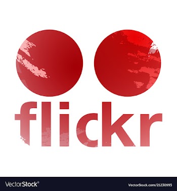 Social networking icons web design flat icon vector image