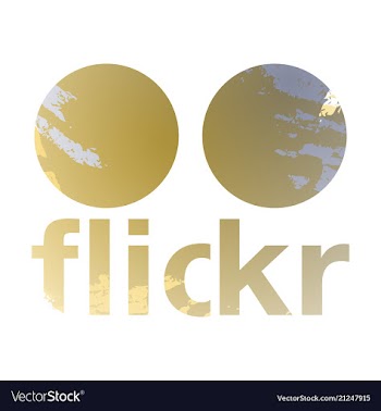 Social networking icons web design flat icon vector image