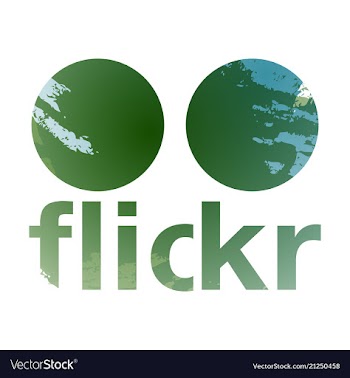 Social networking icons web design flat icon vector image