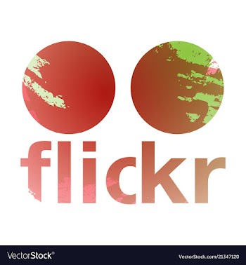 Social networking icons web design flat icon vector image