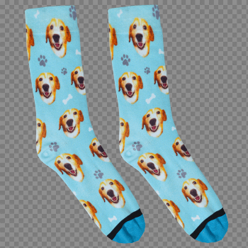 Socks PNG High-Quality Image