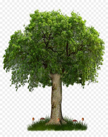 Sofia Plovdiv Varna Artificial flower Floristry - Background Tree 