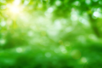 Soft Abstract Green Nature Background