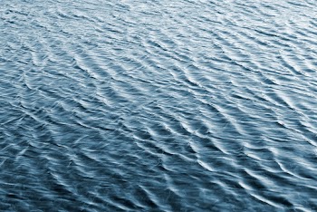Soft Ripples On The Surface Of A Body Of Water