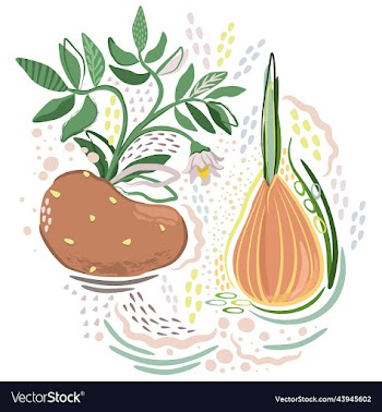 soft set with potato and onion