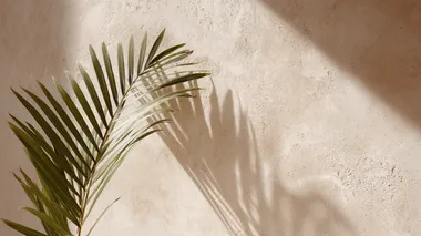 Soft Shadows of Palm Leaves on Beige Wall