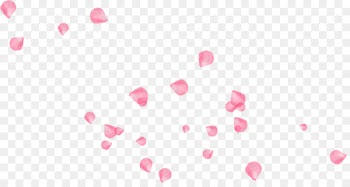 Software Petal Pattern - Pink Floating Rose Petal Decoration 