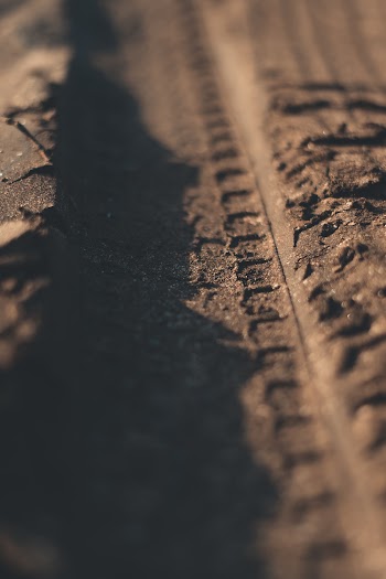 Soil