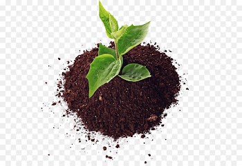Soil Agriculture Fertilisers Pesticide Organic farming - SOIL 