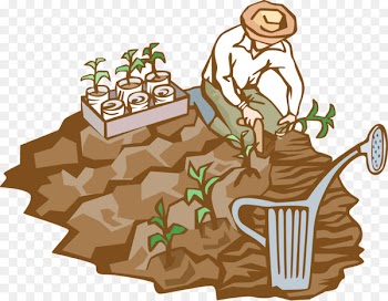 Soil Humus Microbiology Natural environment - natural environment 