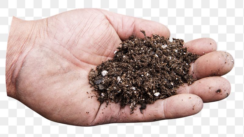 Soil on hand, environment image | Free PNG - rawpixel