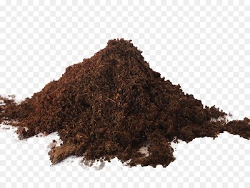 Soil type Peat Porosity Pindstrup - SOIL 