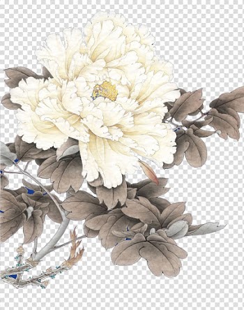 Solar term Mangzhong Jingzhe Lichun, White peony background material transparent background PNG clipart