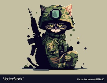 soldier cat
