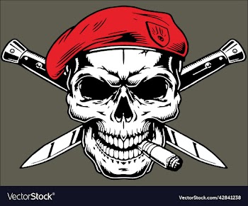soldier skull
