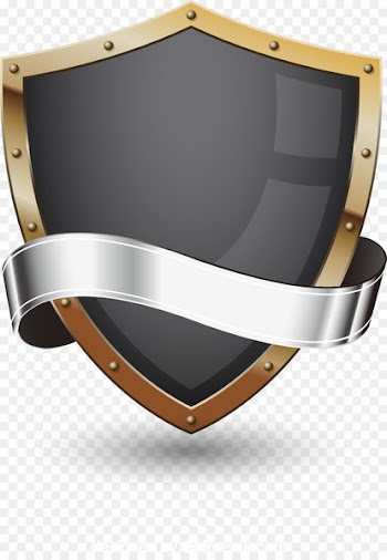 Solid-state drive Logo Special Forces - Vector shield 